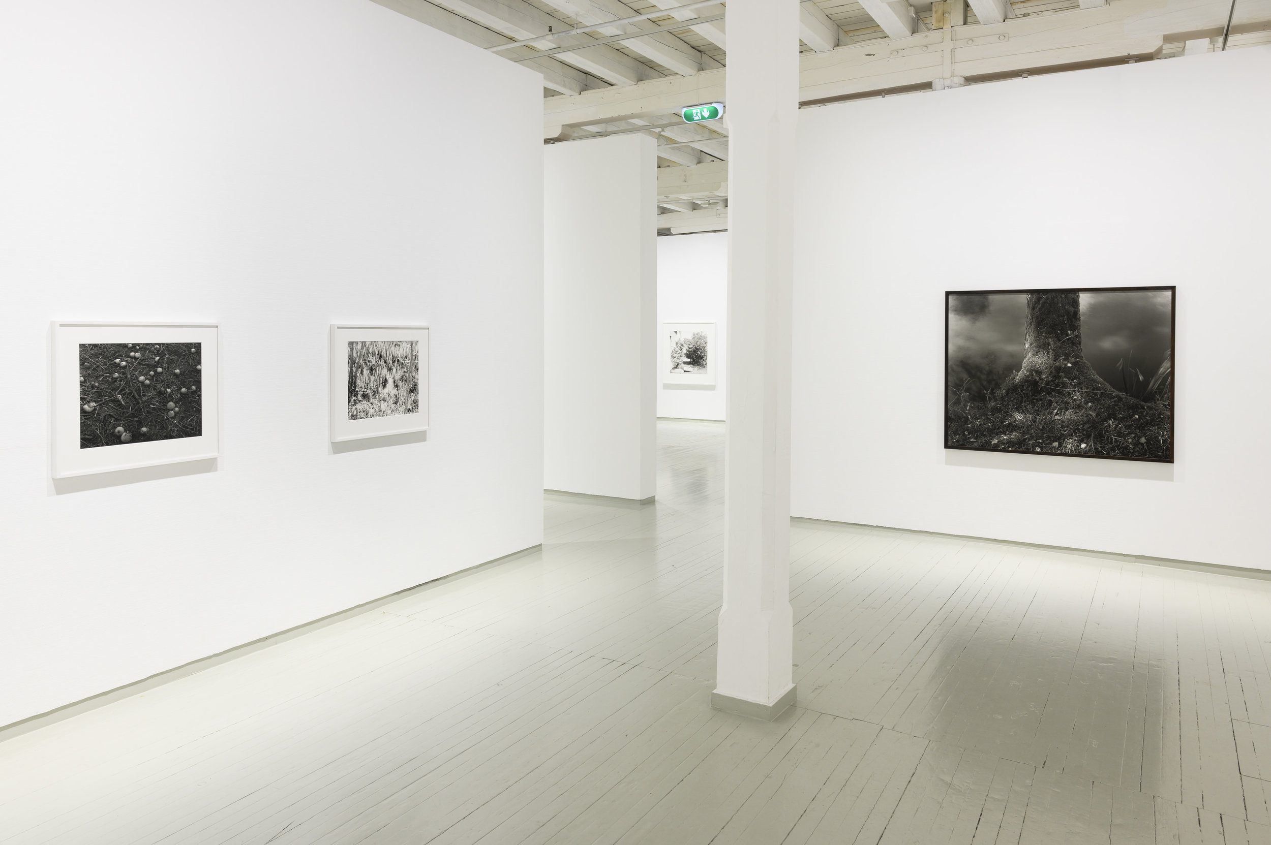LAYERS OF LIGHT:Dag Alveng/ダグ・アルヴェング 写真集 News — DAG ALVENG